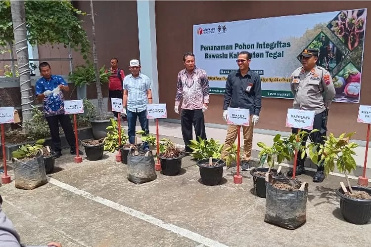 Komitmen Jaga Integritas, Bawaslu Kabupaten Tegal Tanam Pohon Manggis, Ini Maknanya