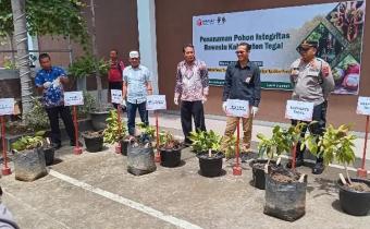 Komitmen Jaga Integritas, Bawaslu Kabupaten Tegal Tanam Pohon Manggis, Ini Maknanya