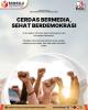 Cerdas Bermedia, Sehat Berdemokrasi